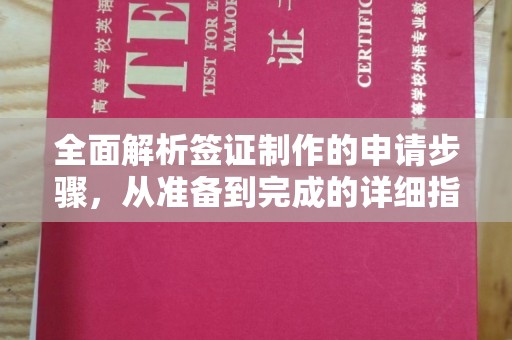 仁武全面解析签证制作的申请步骤，从准备到完成的详细指南